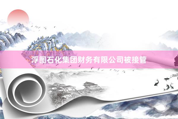 浮图石化集团财务有限公司被接管