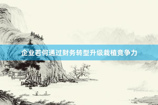 企业若何通过财务转型升级栽植竞争力
